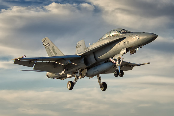 mcdonnell douglas f/a-18d hornet