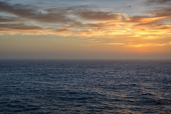 vulture's sunset