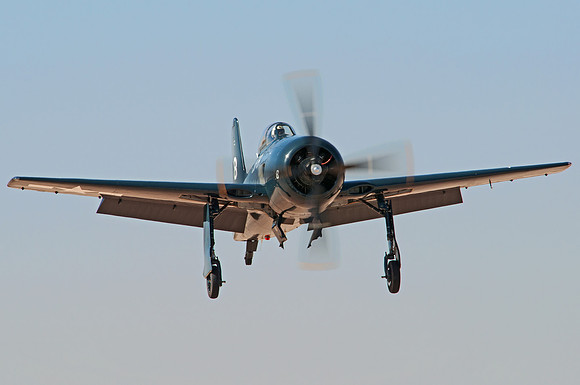 grumman f8f-1 bearcat