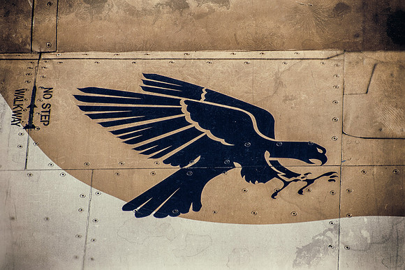 fighting falcon