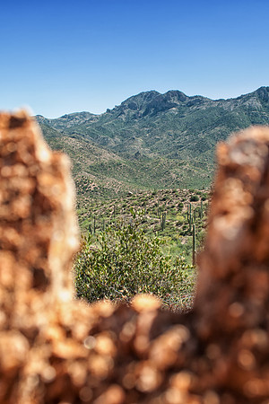 hide site