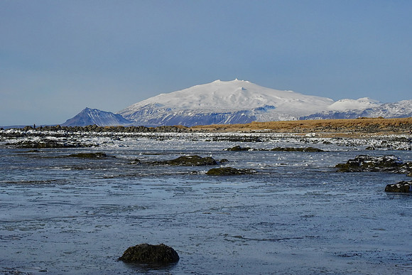 ytri tunga