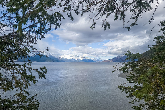 turnagain arm
