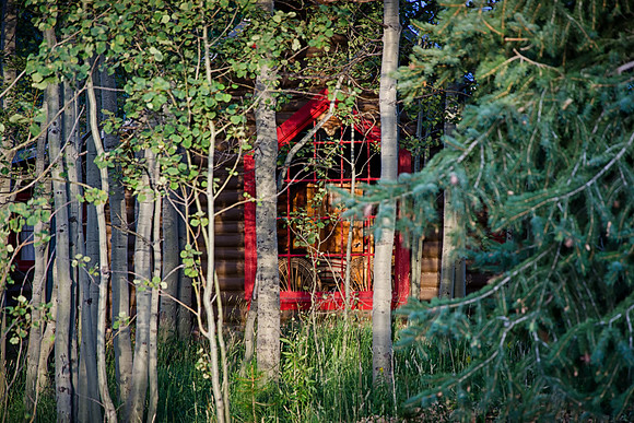 cabin in the woods