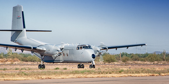 turbo caribou