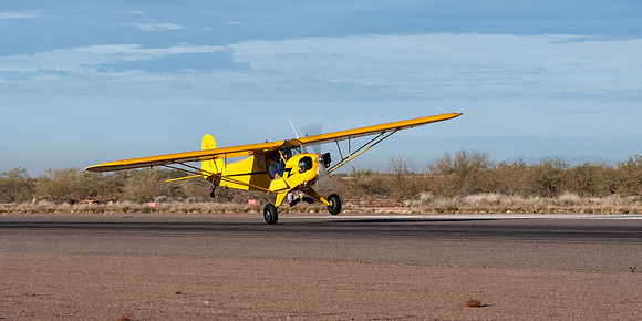 cub