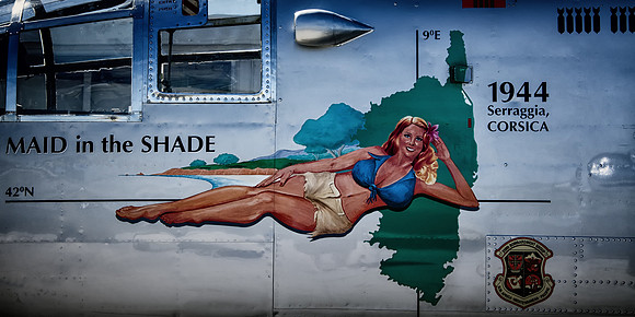 MAID in the SHADE