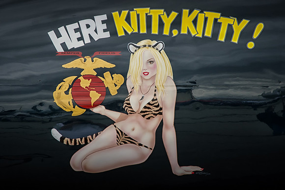HERE KITTY, KITTY!
