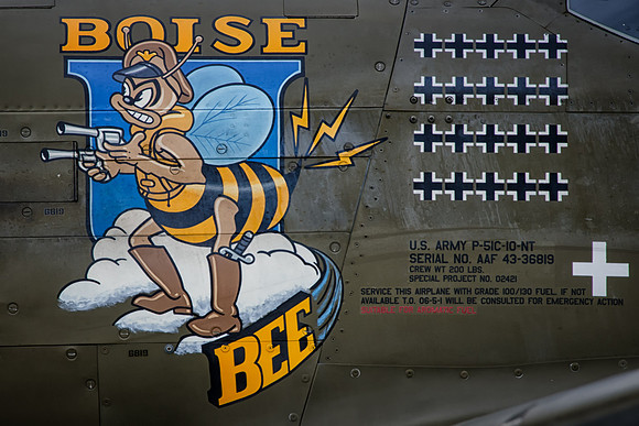 BOISE BEE