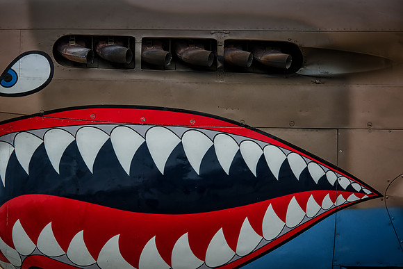 shark teeth