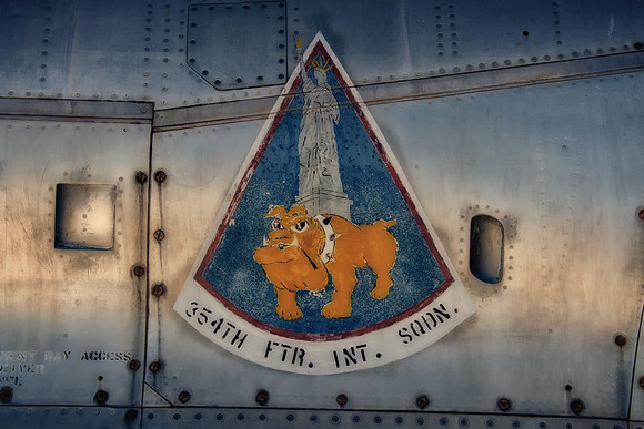 354TH FTR. INT. SQDN.