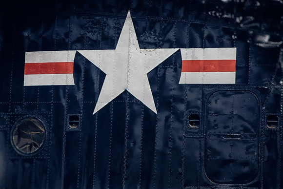 US National Insignia