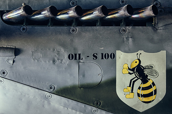 OIL - S 100