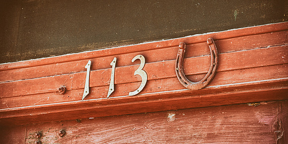 113 ʊ