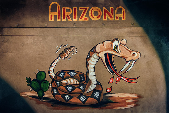 Arizona