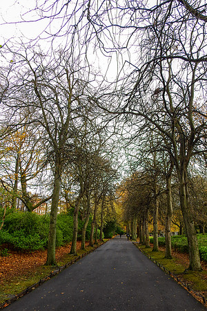 St. Stephen's Green
