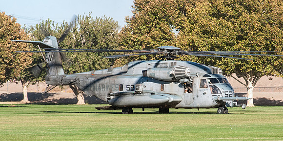 super stallion