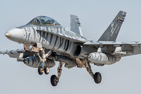 mcdonnell douglas f/a-18d hornet