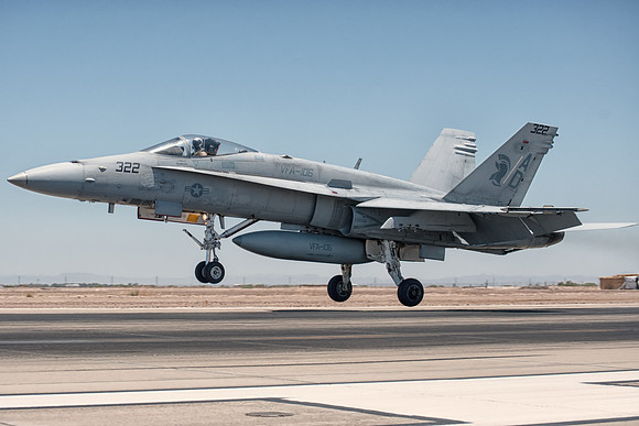 hornet