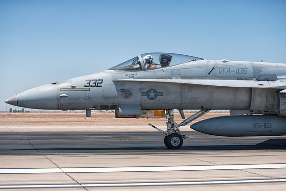 hornet