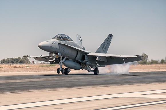hornet