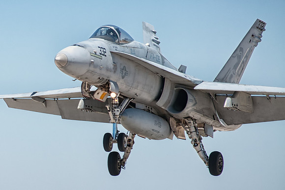 hornet